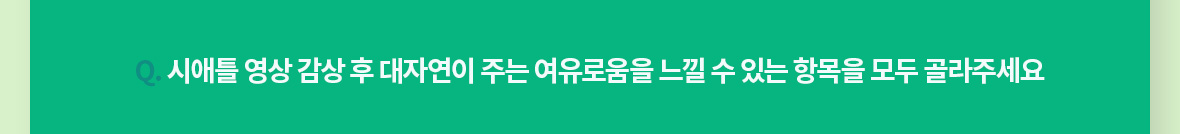 Q. 시애틀 영상 감상 후 대자연이 주는 여유로움을 느낄 수 있는 항목을 모두 골라주세요