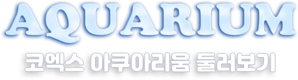 AQUARIUM 코엑스 아쿠아리움 둘러보기