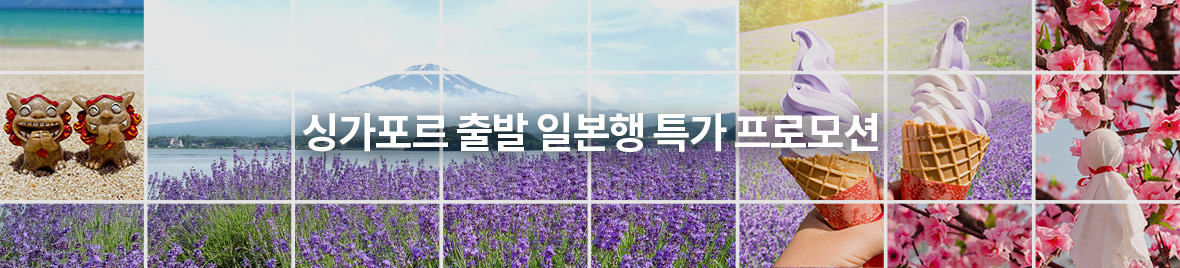 싱가포르 출발 일본행 특가 프로모션