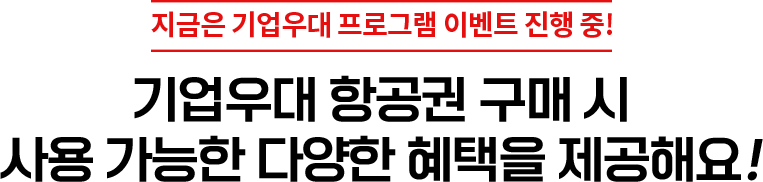 기업우대 항공권 구매 시 사용 가능한 다양한 혜택을 제공해요!