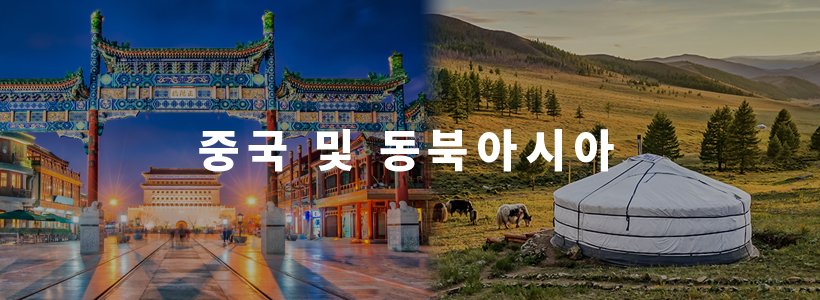 중국 및 동북아시아