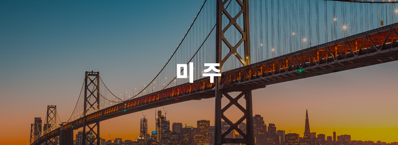 미주