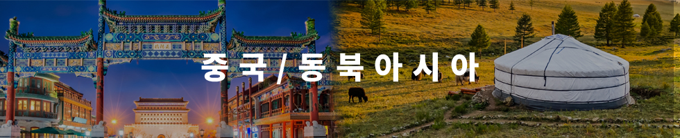 중국 및 동북아시아