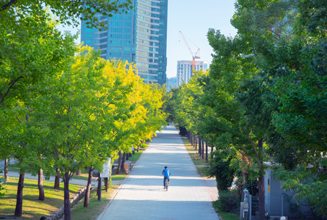 Seoul Forest walk