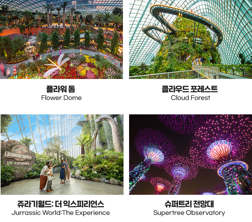 플라워 돔, 클라우드 포레스트, 쥬라기월드:더 익스피리언스, 슈퍼트리 전망대