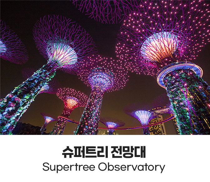 슈퍼트리 전망대
