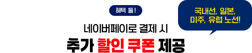 혜택 둘! 네이버페이로 결제 시 추가 할인 쿠폰 제공