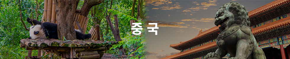 중국