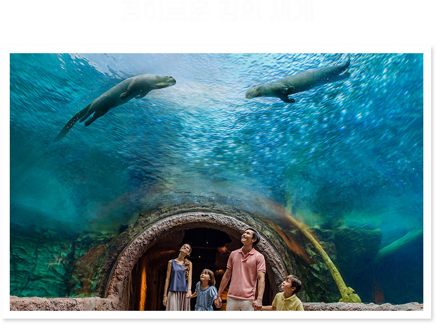 경의로운 강의 세계