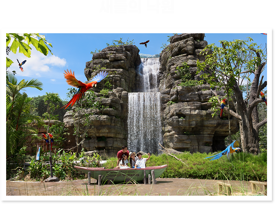 새들의 낙원