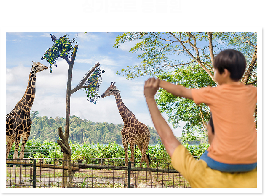 싱가포르 동물원