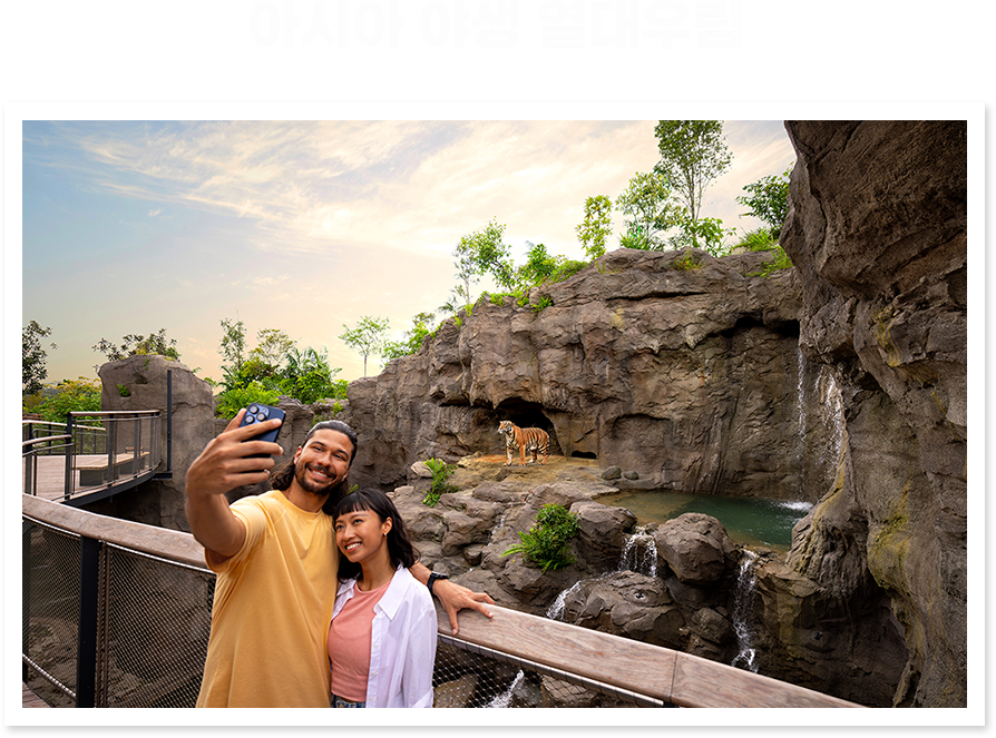 아시아 야생 열대우림