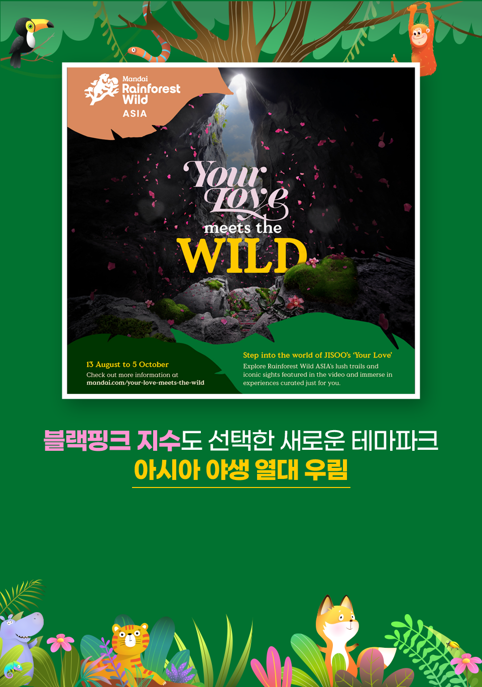 블랙핑크 지수도 선택한 새로운 테마파크 아시아 야생 열대 우림