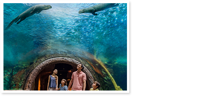 경의로운 강의 세계