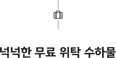 넉넉한 무료 위탁 수하물