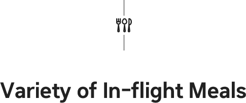 Variety of In-flight Meals