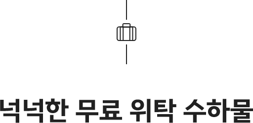 넉넉한 무료 위탁 수하물