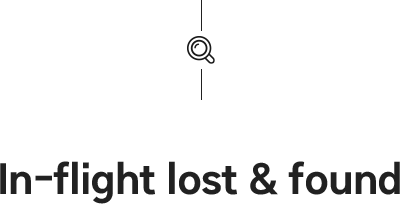 In-flight lost & found