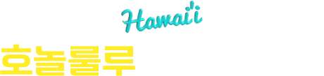 호놀룰루 운항 스케줄