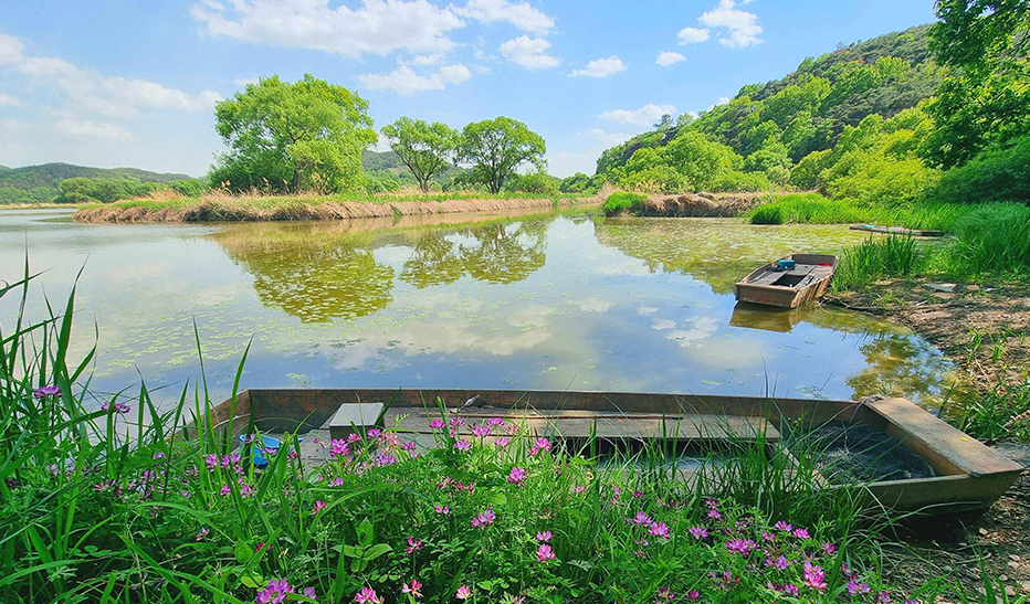 Upo Wetland Eco Park