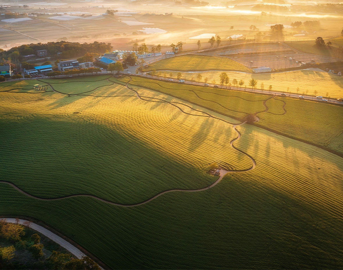 Borinara Hagwon Farm