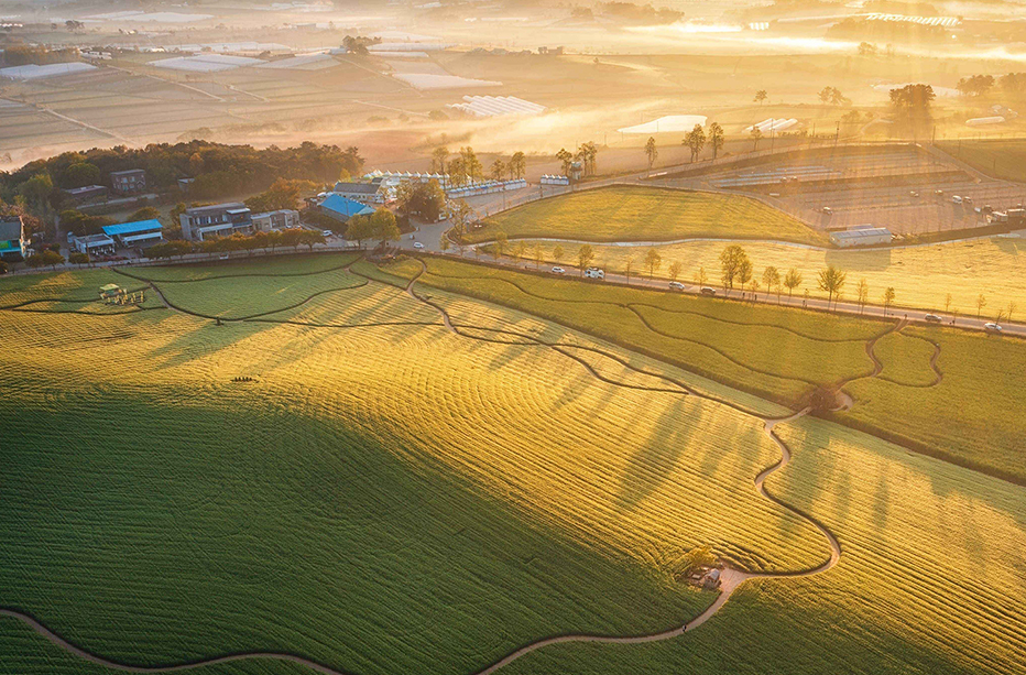 Borinara Hagwon Farm