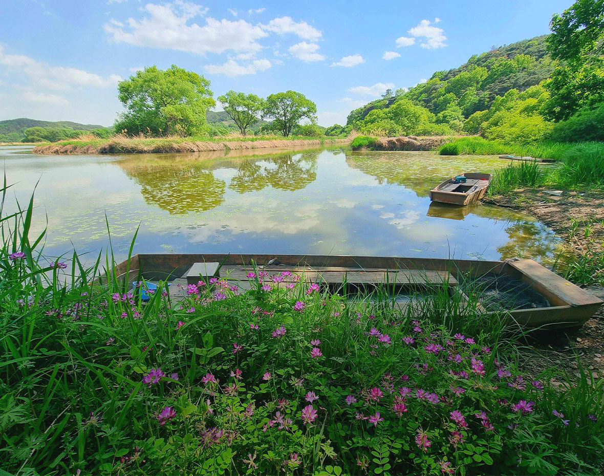 Upo Wetland Eco Park