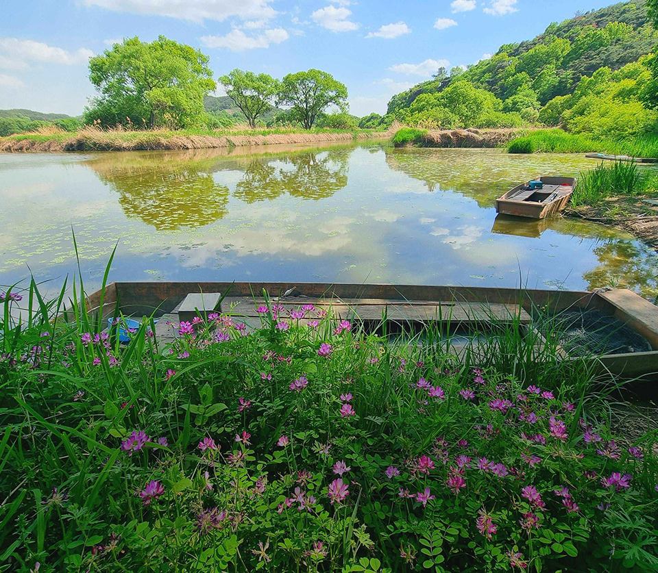Upo Wetland Eco Park