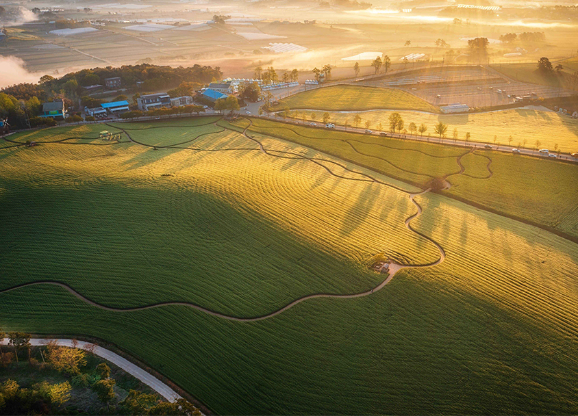 Borinara Hagwon Farm