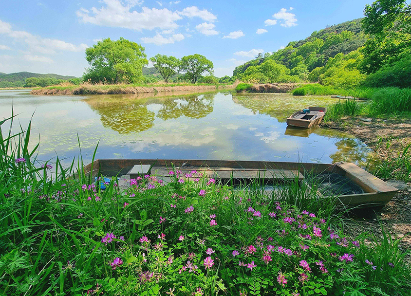 Upo Wetland Eco Park