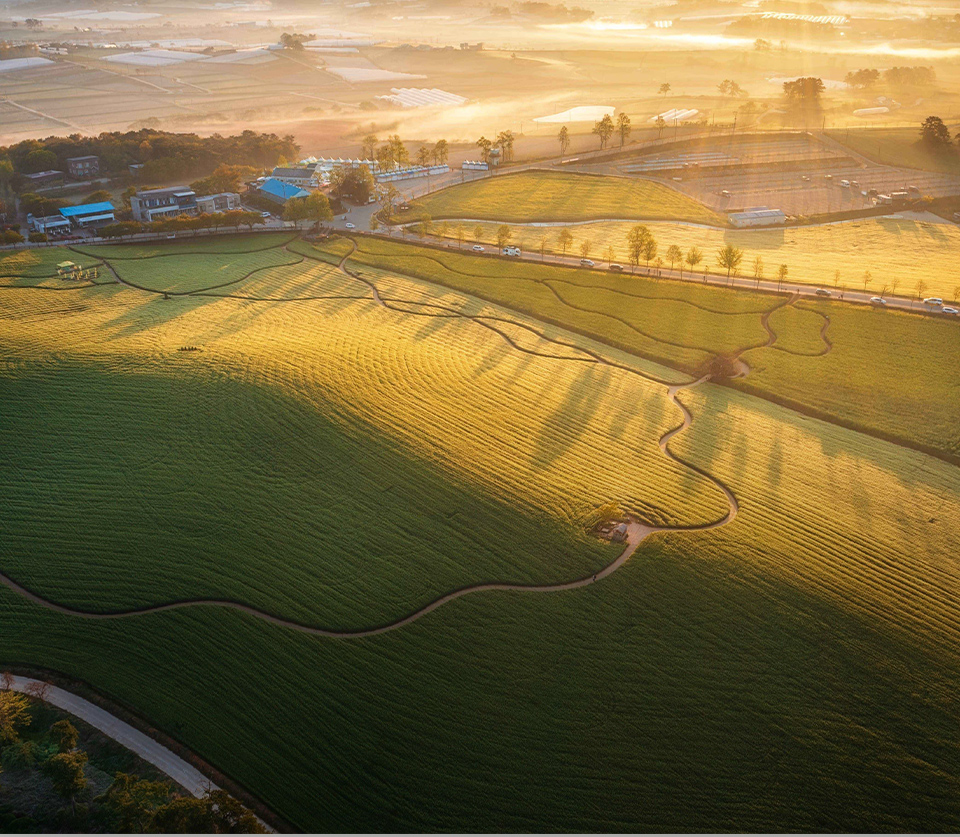 Borinara Hagwon Farm