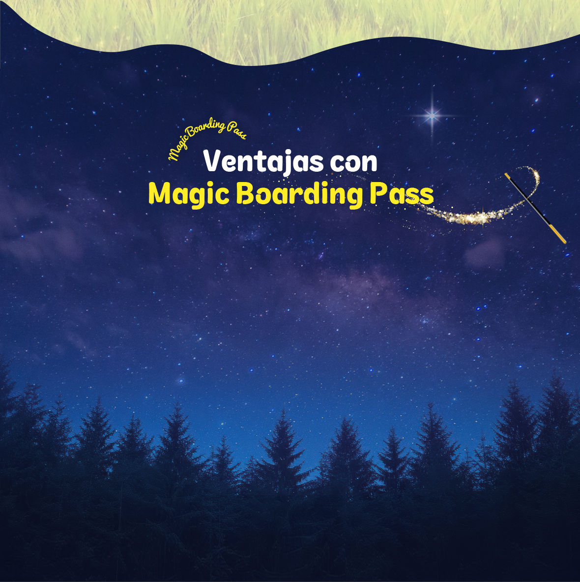 Magic Boarding Pass Benefit