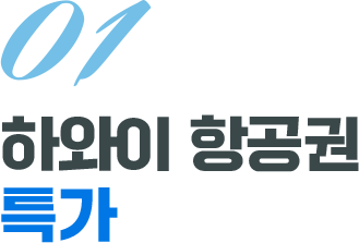 01 하와이 항공권 특가