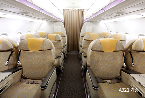 A321 기종 이미지