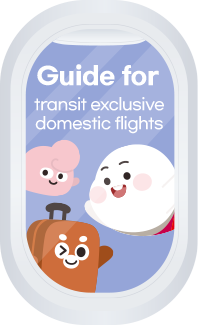 Guide for transit exclusive domestic flights