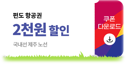 편도 항공권 2천원할인 국내선 제주 노선 쿠폰