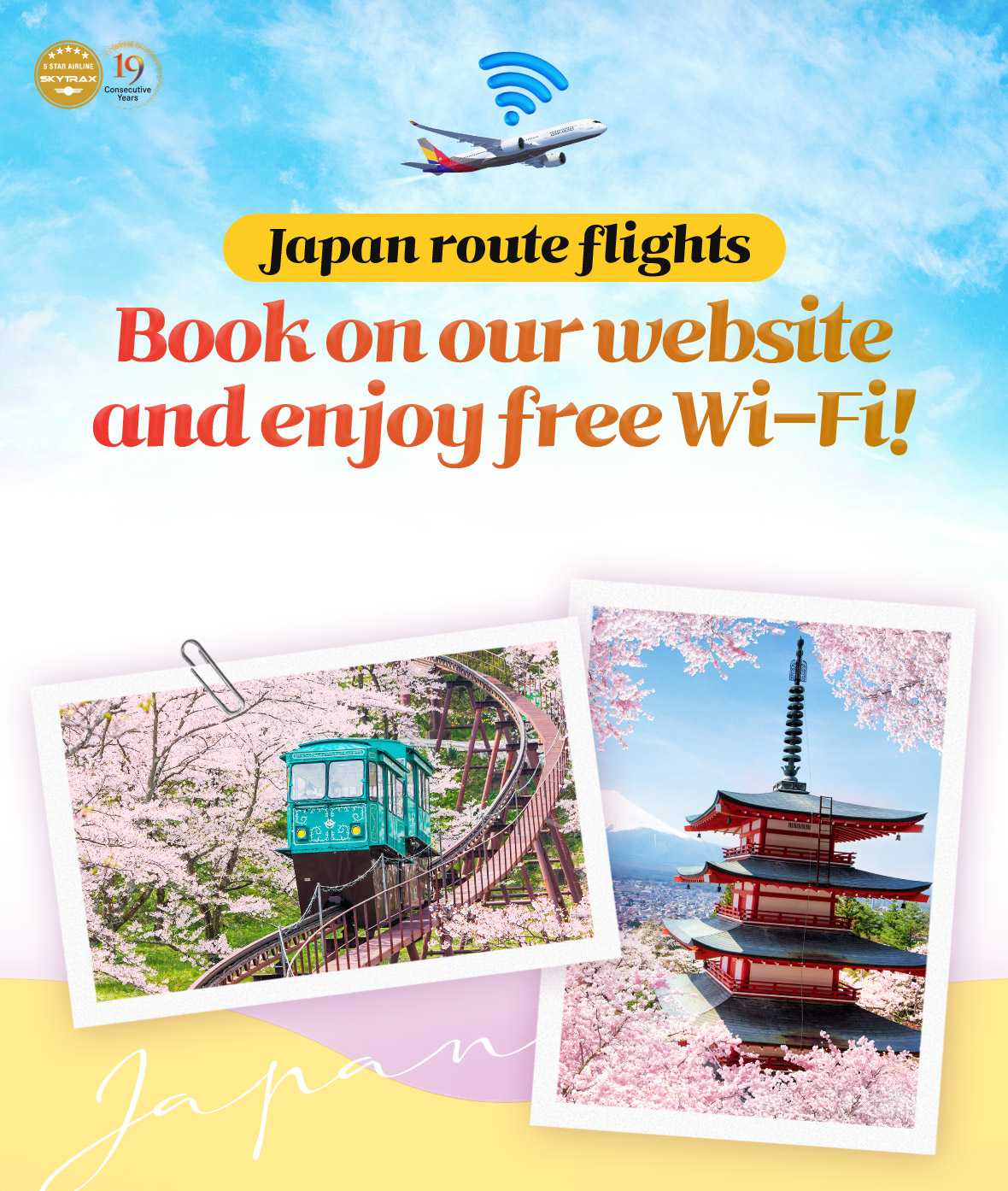 Busan / Daegu domestic flights. Book on our website and enjoy free Wi-Fi!