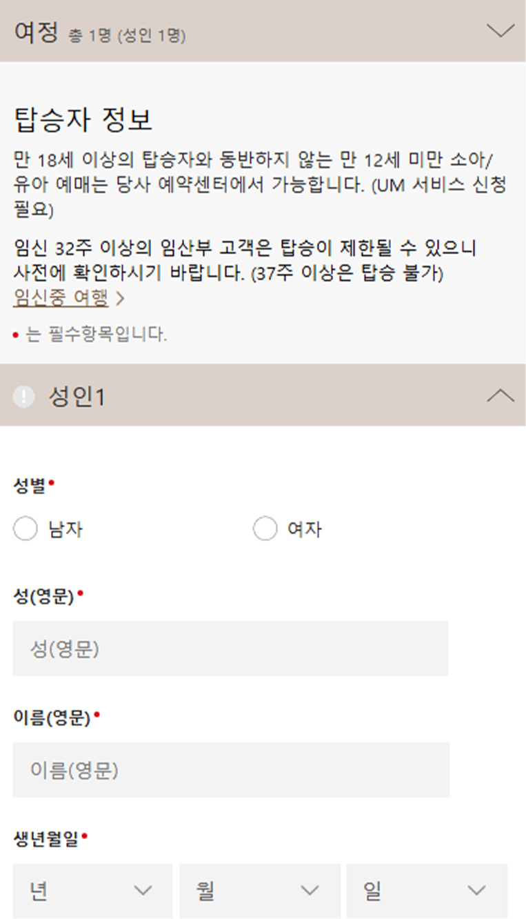 탑승정보 입력 예시