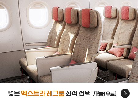 넓은 엑스트라 레그룸 좌석 선택 가능(유료)
