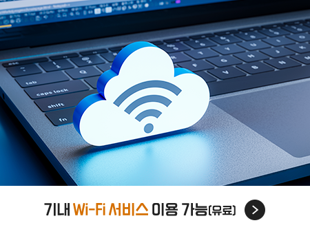 기내 Wi-Fi 서비스 이용 가능(유료)