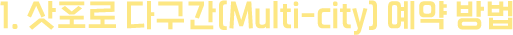 1.삿포로 다구간(Multi-city) 예약 방법