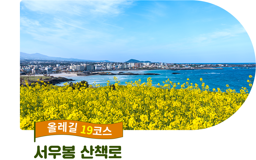 올레길 19코스 서우봉 산책로