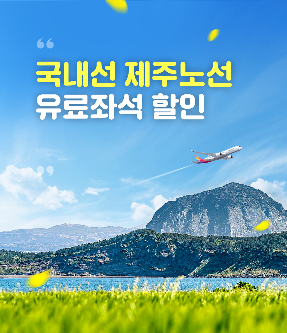 국내선 제주노선 유료좌석 할인