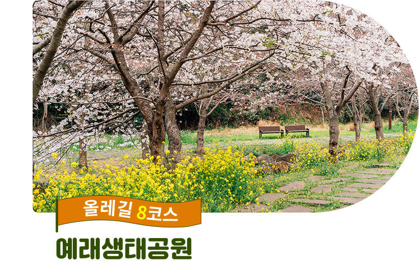 둘레길 8코스 예래생태공원