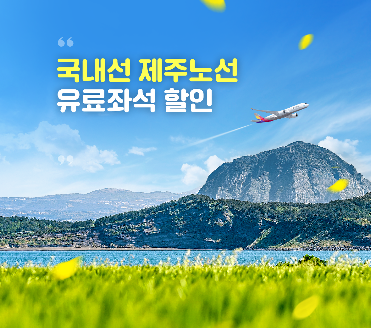 국내선 제주노선 유료좌석 할인