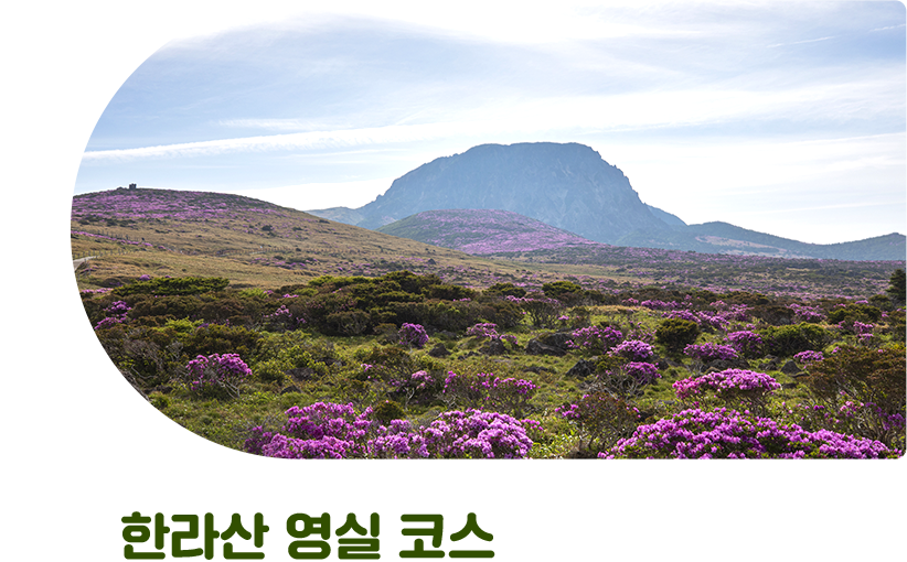한라산 영실 코스