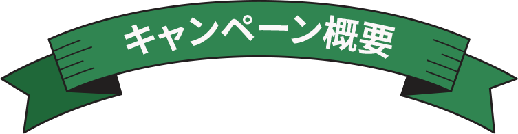 キャンペーン概要