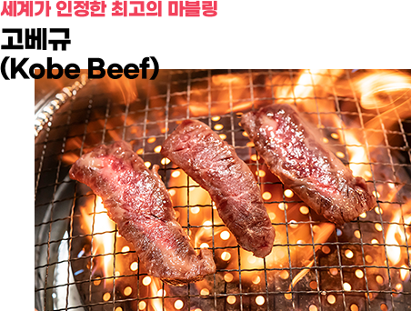 세계가 인정한 최고의 마블링 고베규(Kobe Beef)