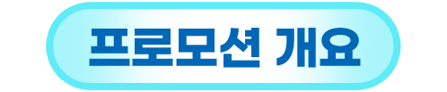프로모션 개요