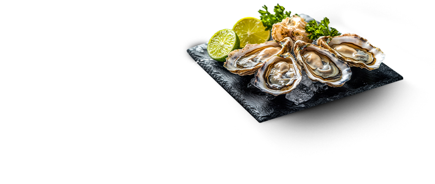 Rock Oyster